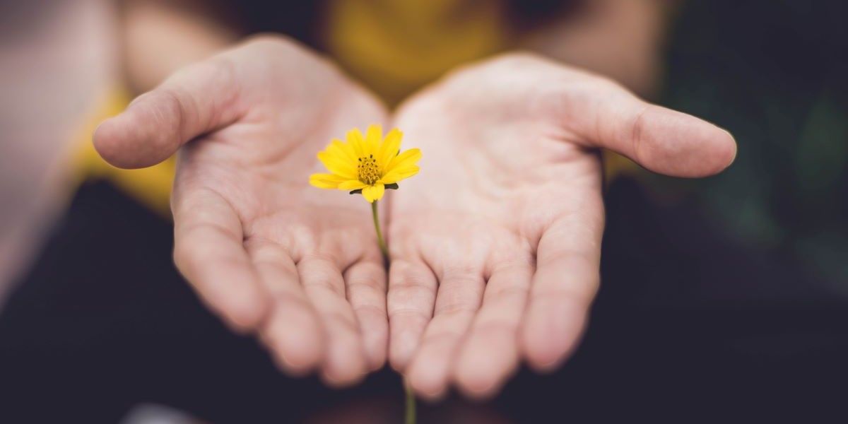 mindfulness at home relaxation flower in palm of your hand metaphor for personal growth