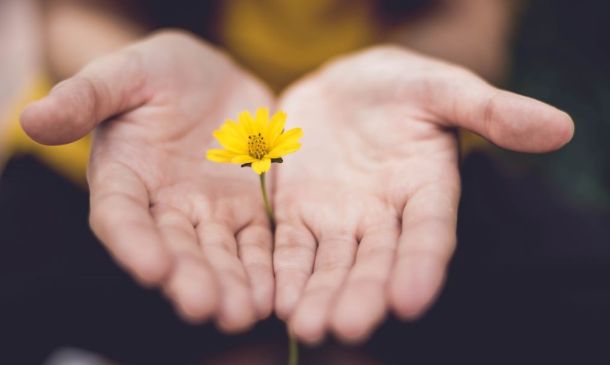 mindfulness at home relaxation flower in palm of your hand metaphor for personal growth